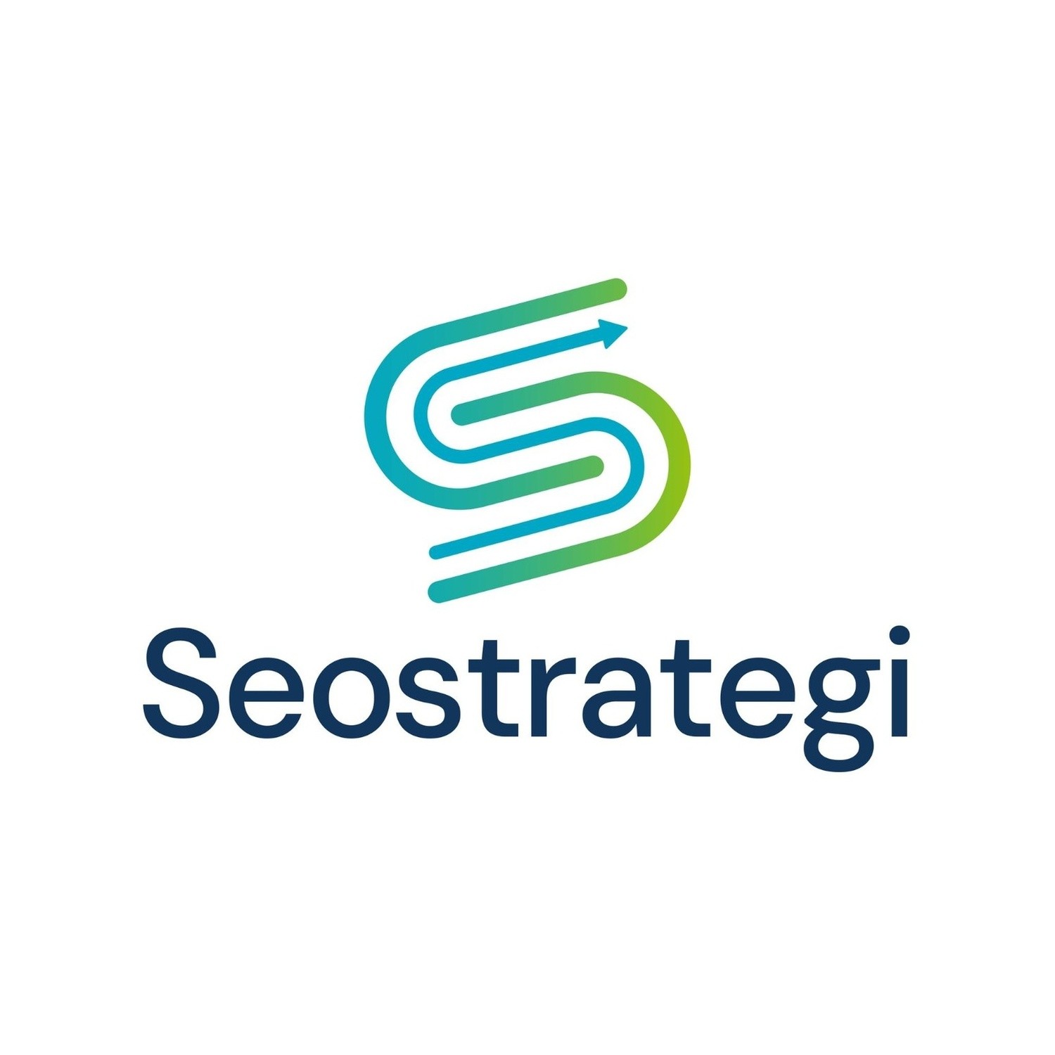 @seostrategi1 profile photo